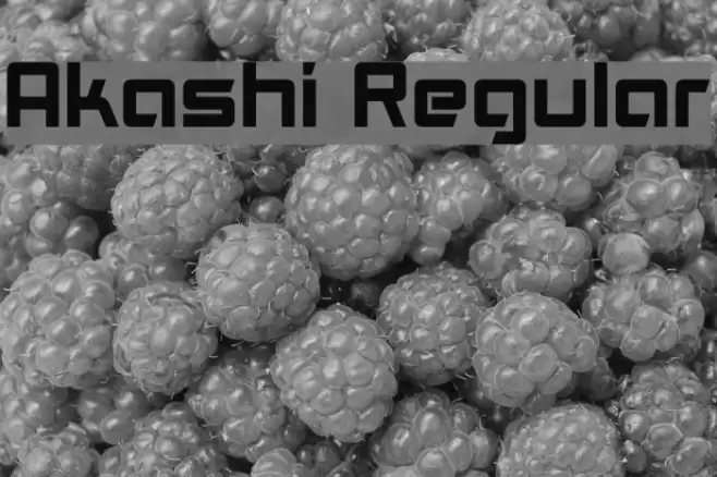 Akashi Regular Font examples