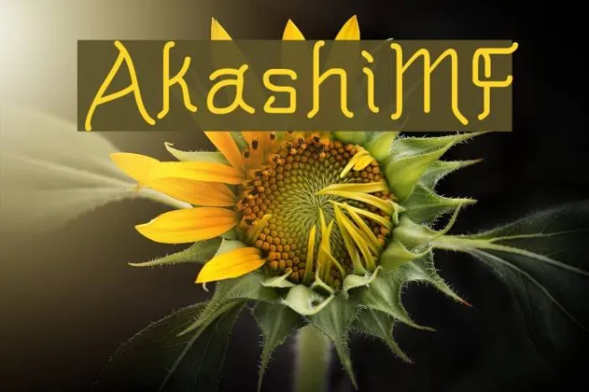AkashiMF Example 1