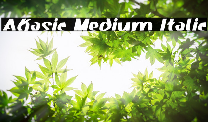 Akasic Medium Italic Font examples