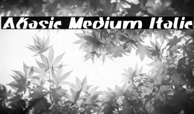 Akasic Medium Italic Font examples