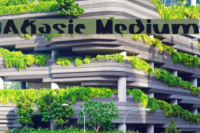 Akasic Medium Font examples