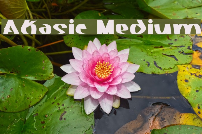 Akasic Medium Font examples