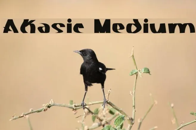 Akasic Medium Example 3