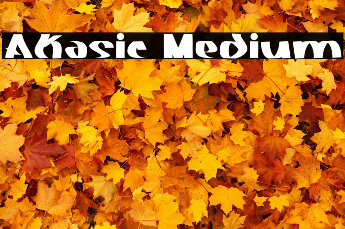 Akasic Medium Example 3