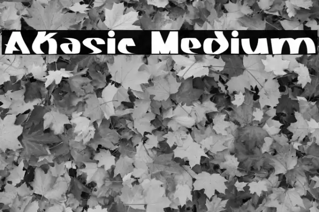 Akasic Medium Font examples