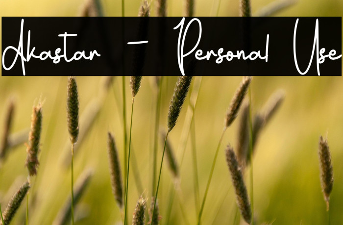 Akastar - Personal Use Example 2