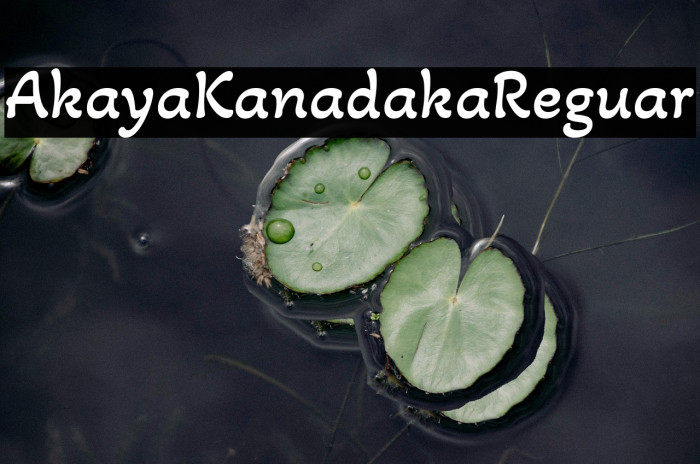 Akaya Kanadaka Regular Example 1