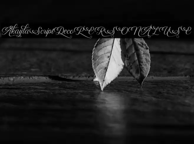 AkaylaScriptDecoPERSONALUSE Font examples