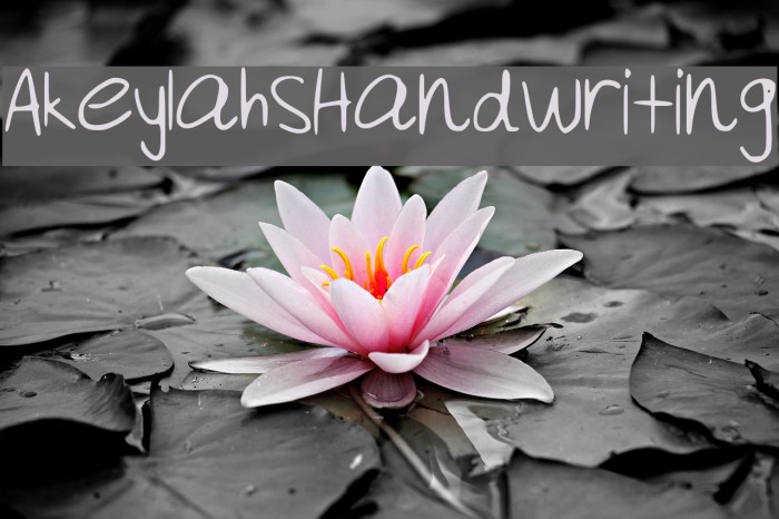 Akeylah__s_Handwriting Font examples