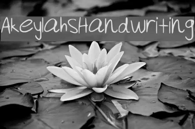 Akeylah__s_Handwriting Font examples