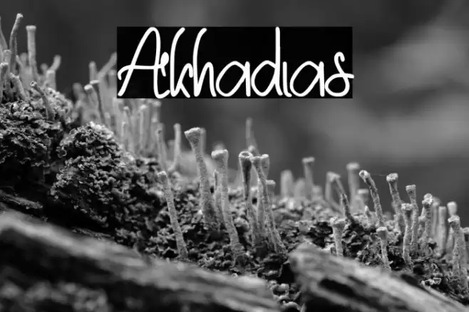 Akhadias Font examples