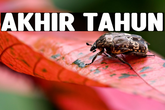 Akhir Tahun Example 3