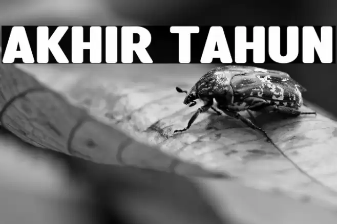 Akhir Tahun Font examples