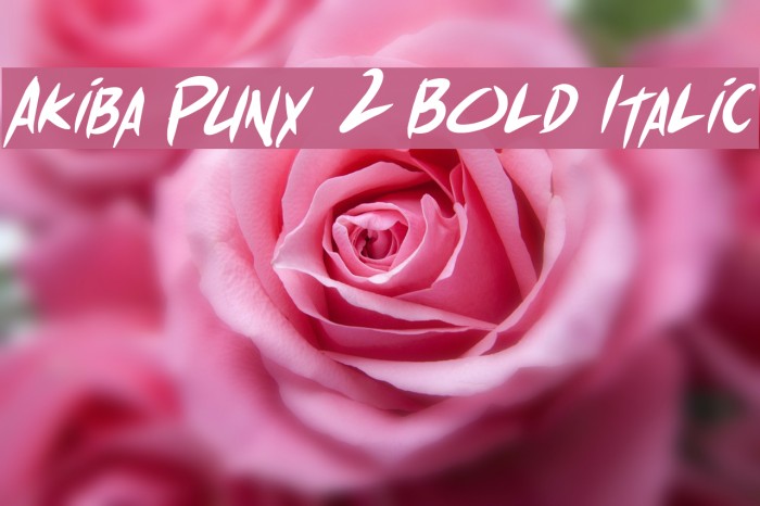 Akiba Punx 2 Bold Italic Font examples