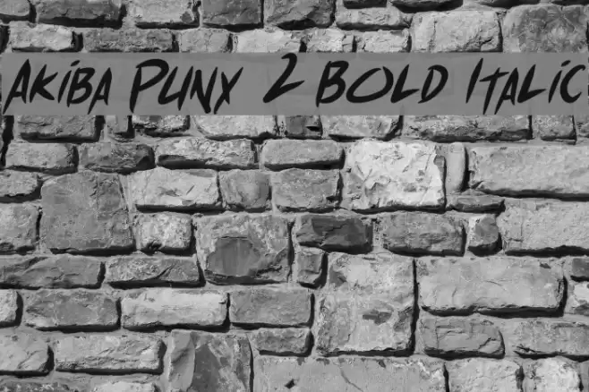 Akiba Punx 2 Bold Italic Font examples