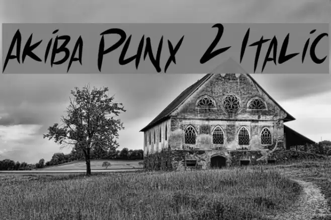 Akiba Punx 2 Italic Font examples