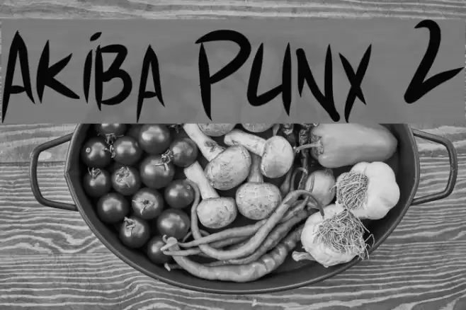 Akiba Punx 2 Font examples