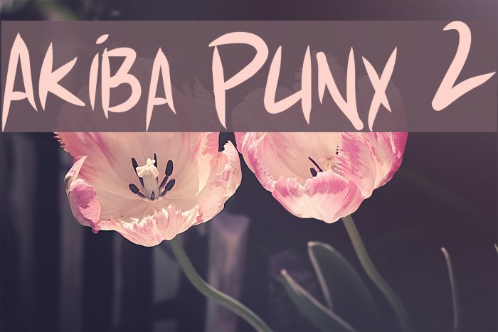 Akiba Punx 2 Font examples