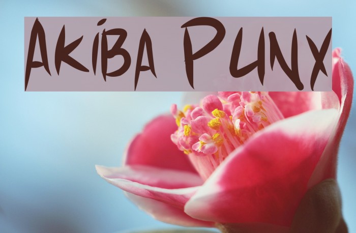 Akiba Punx Font examples