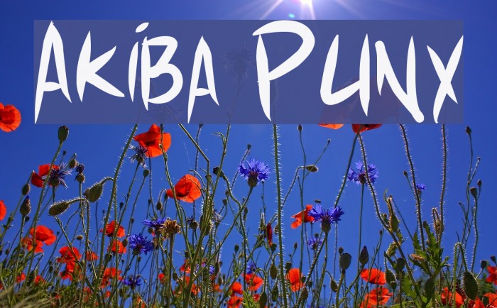 Akiba Punx Font examples