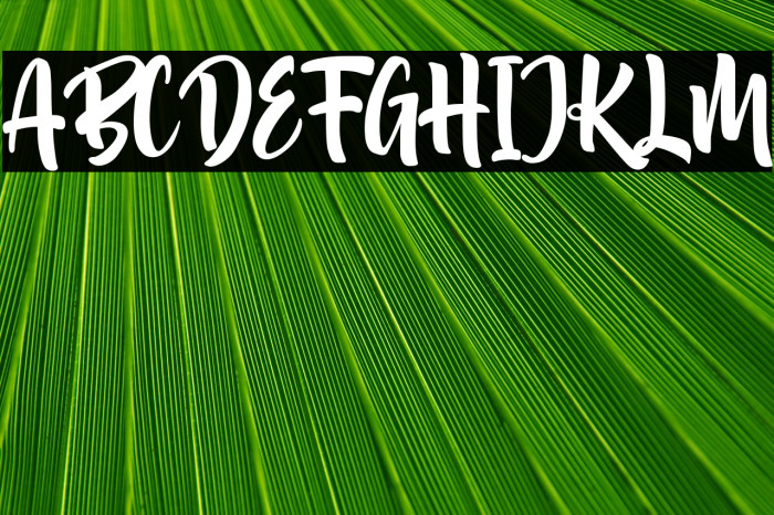 Akidan Hatory Example 3