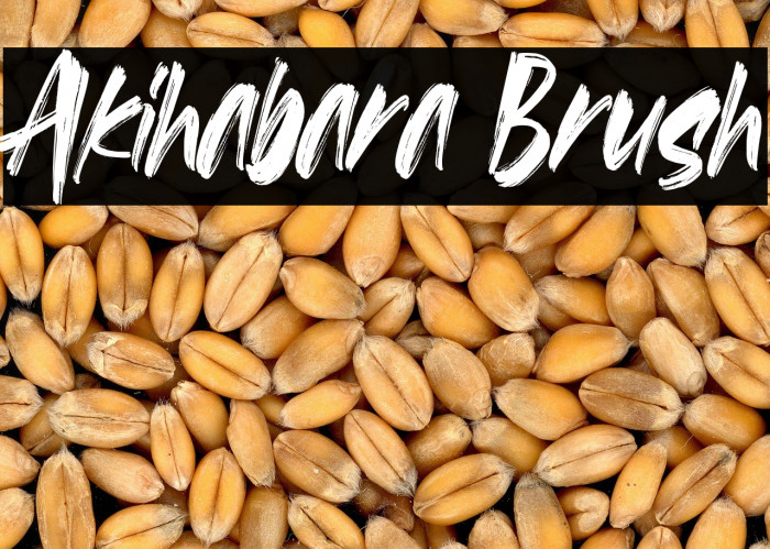 Akihabara Brush Example 2