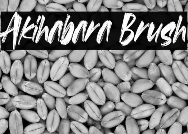 Akihabara Brush Font examples