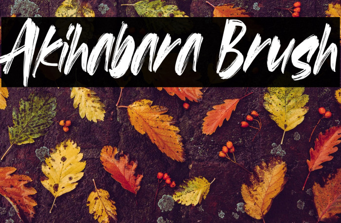 Akihabara Brush Example 3