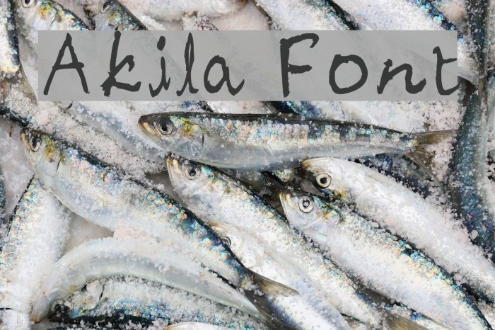Akila Font examples