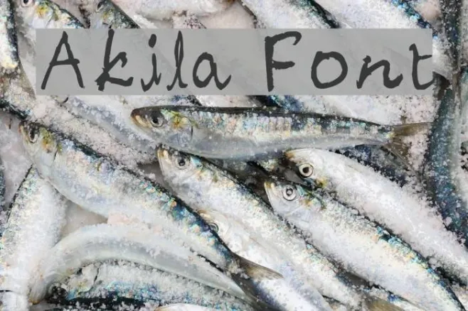 Akila Example 2