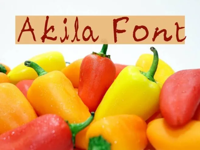 Akila Example 3
