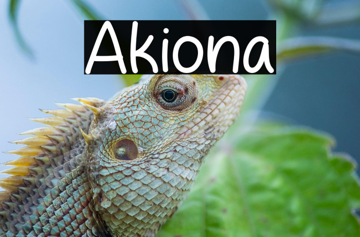 Akiona Example 3