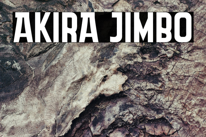 Akira Jimbo Example 3