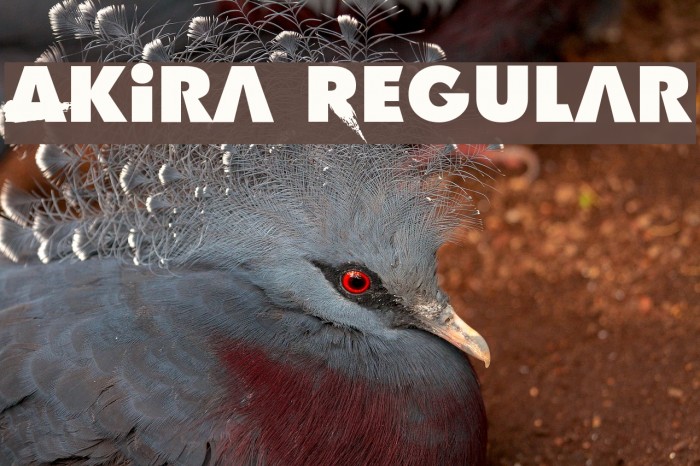 Akira Regular Example 1