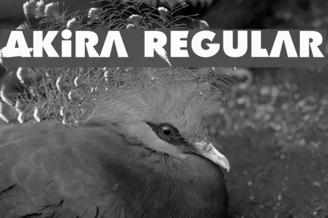 Akira Regular Font examples