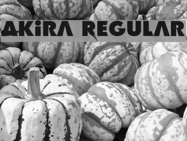 Akira Regular Font examples
