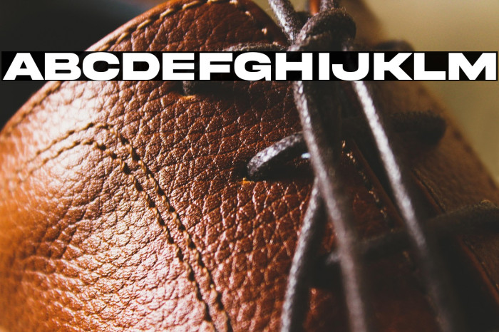 AkiraExpanded-SuperBold Example 2