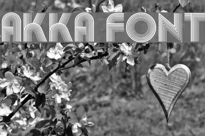 Akka Font examples
