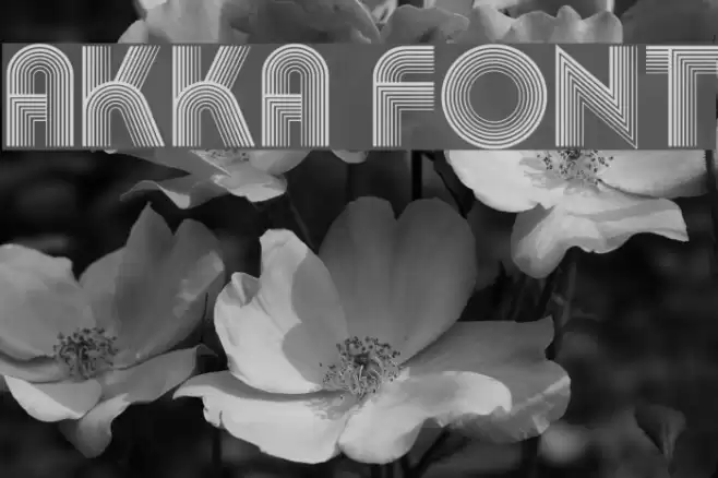 Akka Font examples