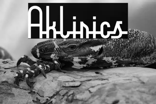 Aklirics Font examples