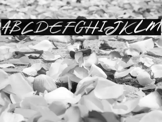 AkodFREE Font examples