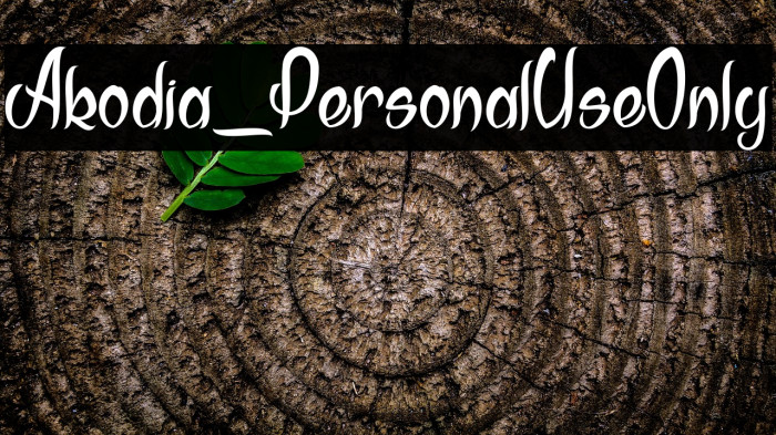 Akodia_PersonalUseOnly Example 1