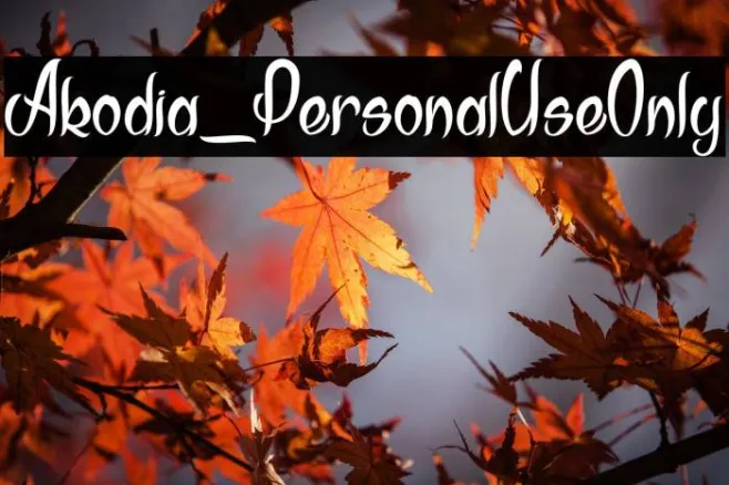 Akodia_PersonalUseOnly Example 2
