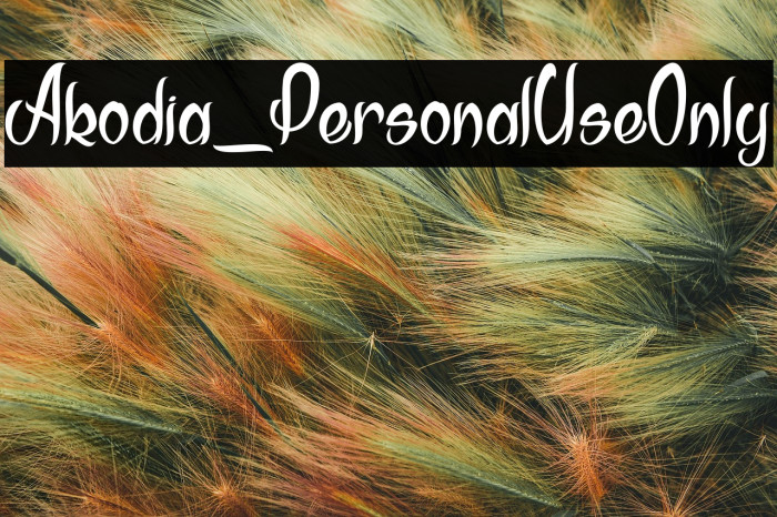 Akodia_PersonalUseOnly Example 3