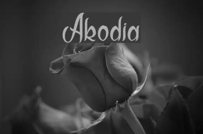 Akodia Font examples