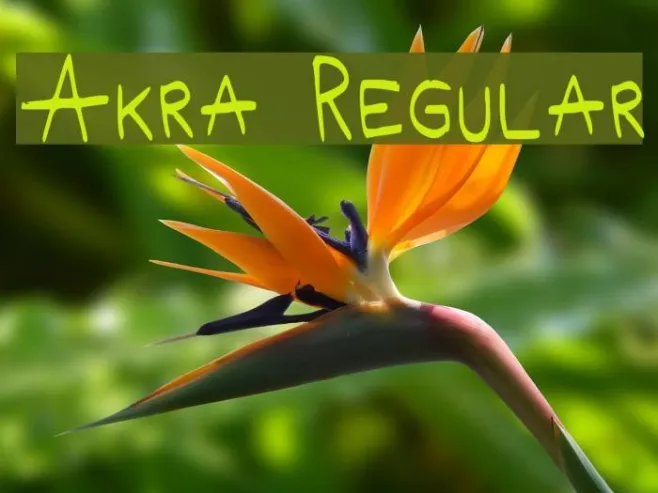 Akra Regular Example 1