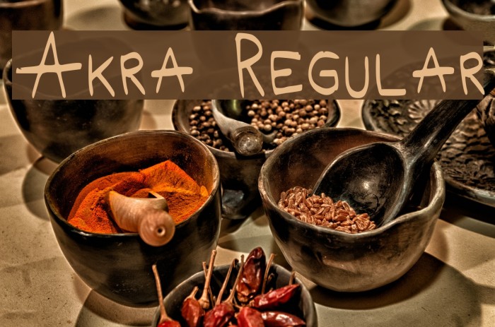 Akra Regular Font examples