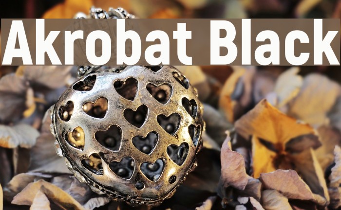 Akrobat Black Example 1