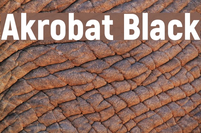 Akrobat Black Example 2