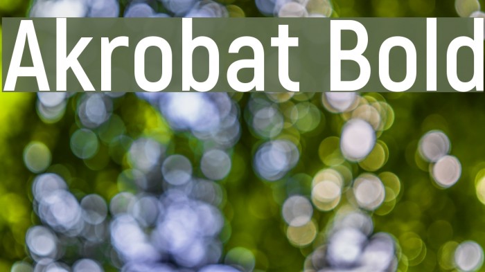 Akrobat Bold Example 1